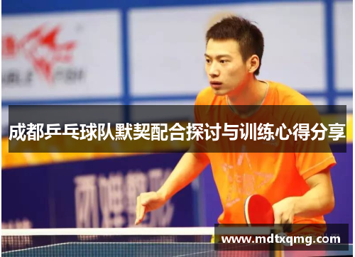 成都乒乓球队默契配合探讨与训练心得分享