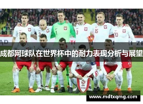 成都网球队在世界杯中的耐力表现分析与展望