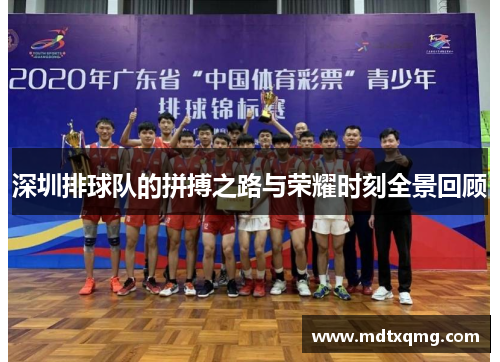 深圳排球队的拼搏之路与荣耀时刻全景回顾