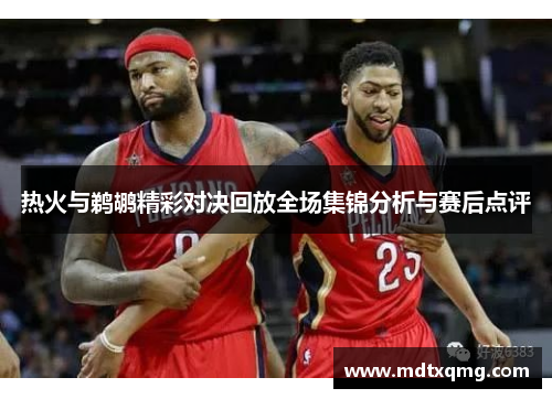 热火与鹈鹕精彩对决回放全场集锦分析与赛后点评